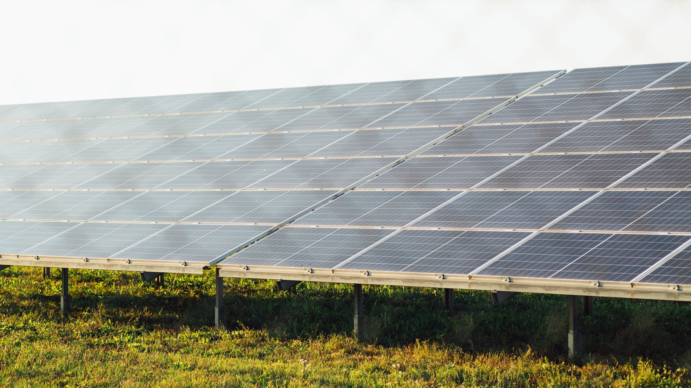 A ground-mounted solar array in hazy, bright light